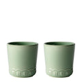 Tulipa kopp 20 cl 2 stk verona green