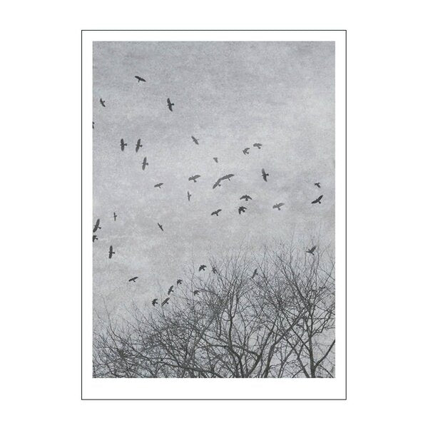 Ingrey Studio poster 30x40 cm crows