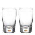 Intermezzo tumbler 25 cl 2 stk gull