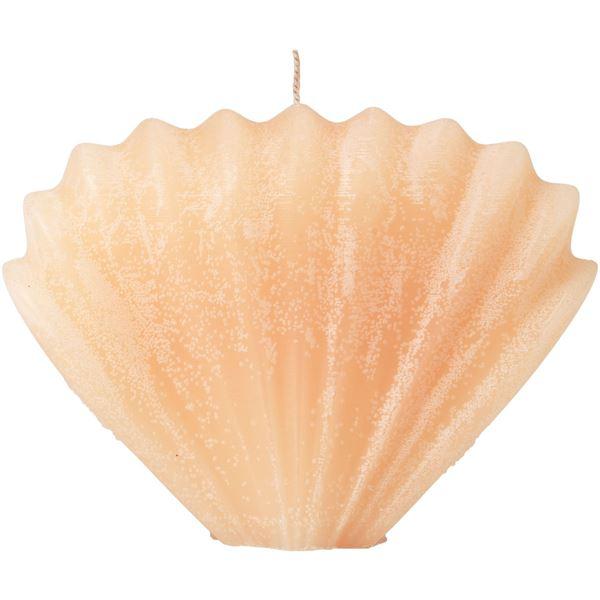 Seashell figurlys 10x15 cm apricot cream