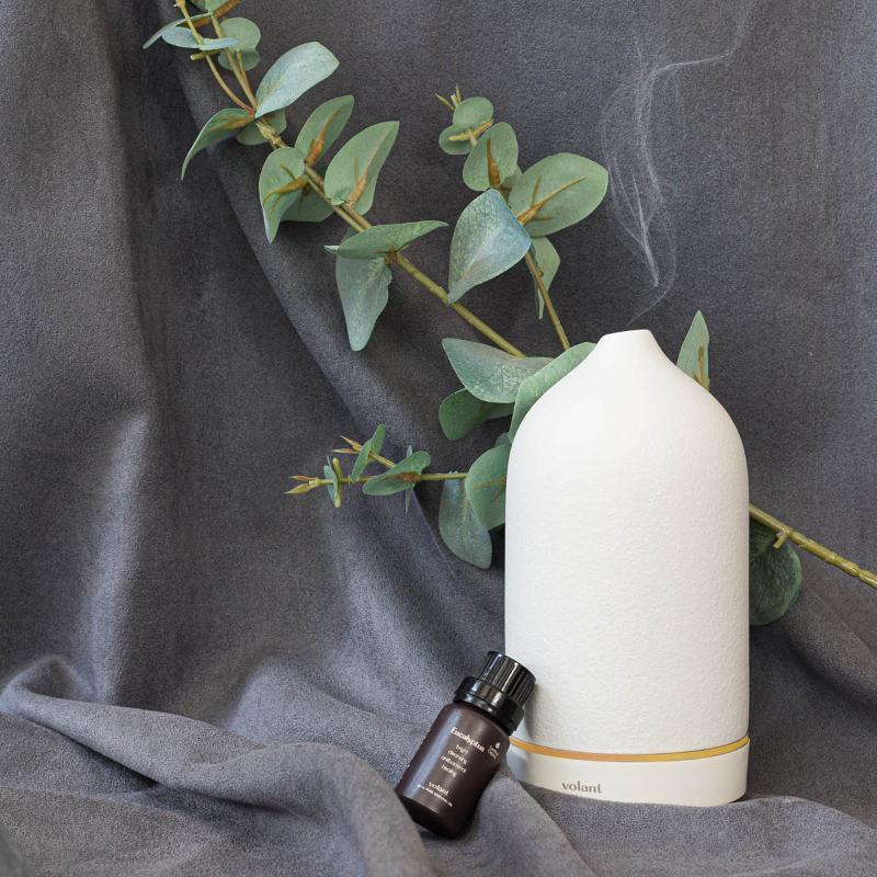 Eterisk olje øko Eucalyptus