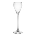 Perfection drammeglass 5,5 cl