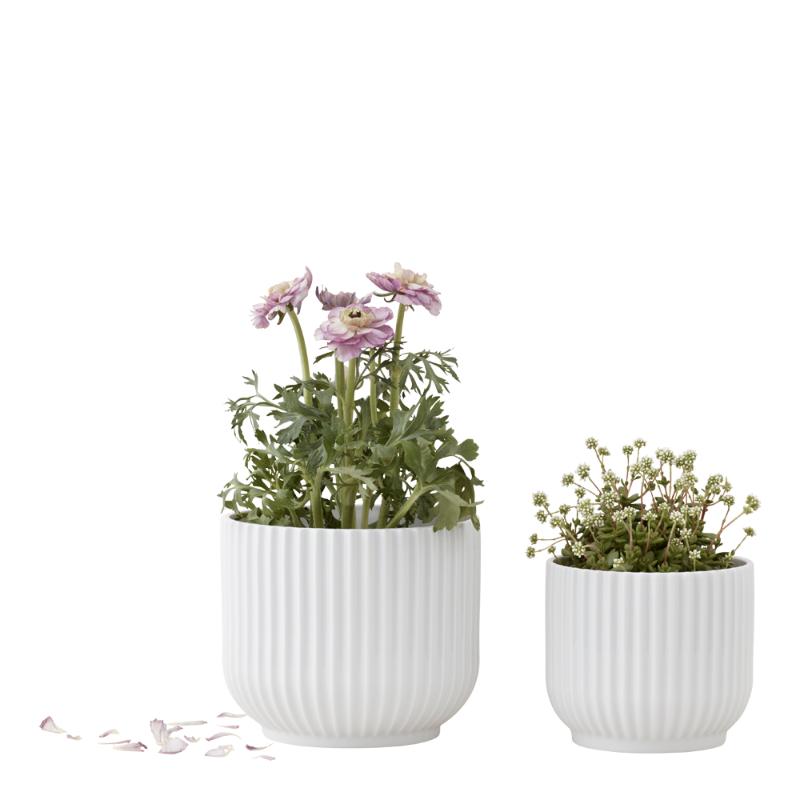 Blomsterpotte liten hvit