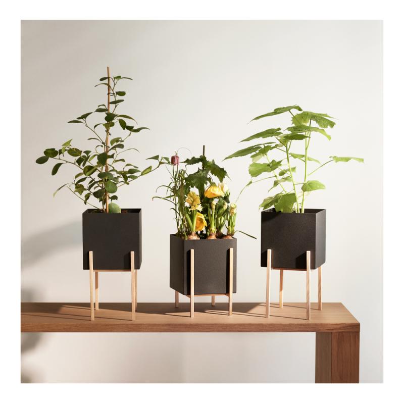 Greenery botanic potte