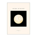 Hilma af Klint poster 50x70 cm svanen no. 14
