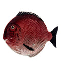 Peixes tallerken fisk 27,5 cm