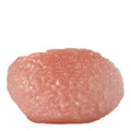 Corallo vase stor 28x45 cm rosa