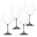 ViVino pinot noir vinglass 70 cl