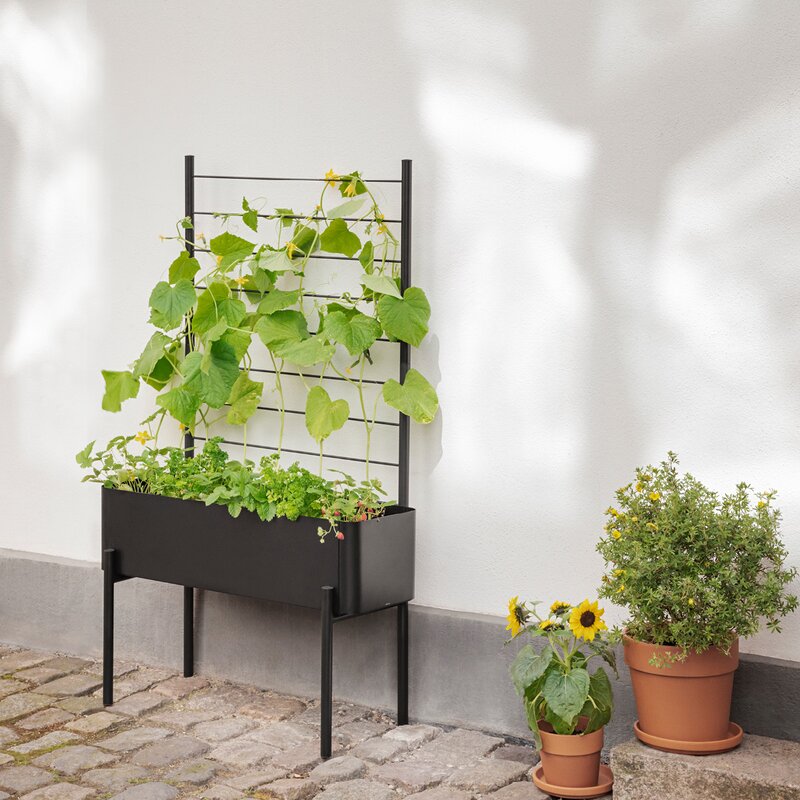 Simply Grow espalier til plantekasse svart