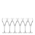 Bubbles champagneglass 16 cl 6 stk klar