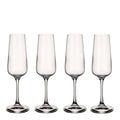 Ovid champagneglass 25 cl 4 stk
