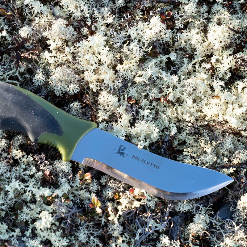 Skinner kjøttkniv 22,5 cm svart/grønn
