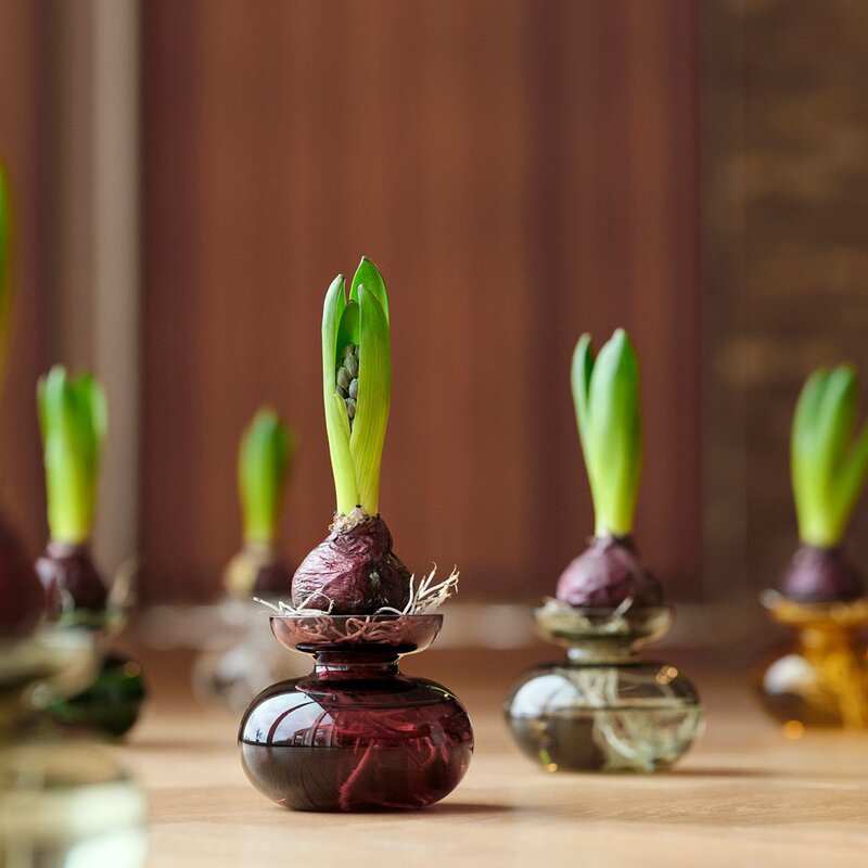 Inu vase 11x9 cm plum