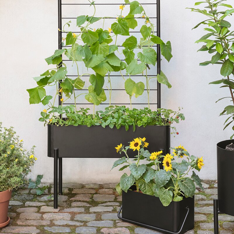 Simply Grow plantekasse svart