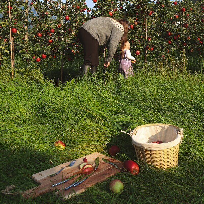 Hardanger fruktsett 12 deler