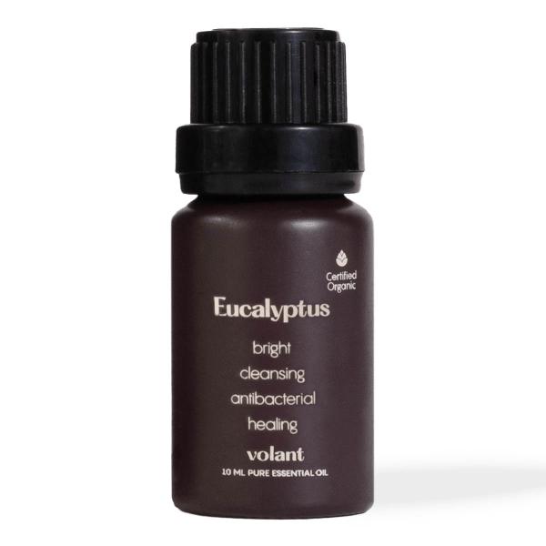 Eterisk olje øko Eucalyptus