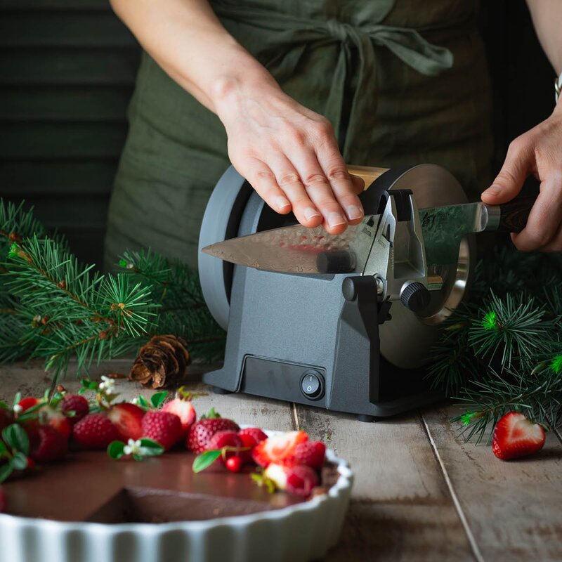 Tormek T-1 elektrisk knivsliper carbon black