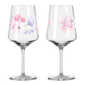 Sommersonett vinglass no: 17 & 18 54 cl 2 stk