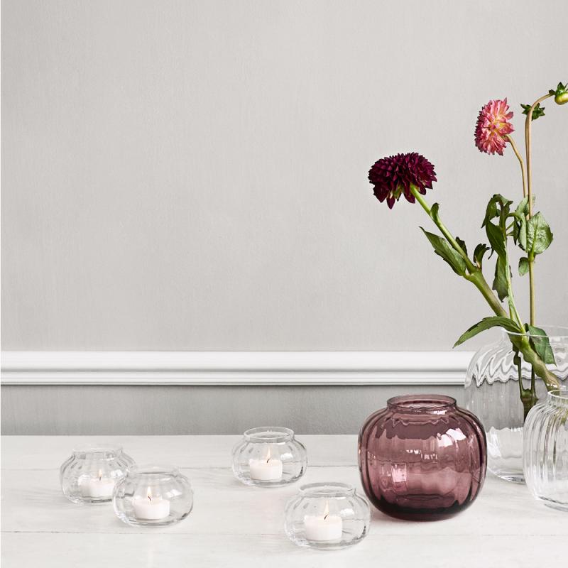 Primula vase 12,5 plomme
