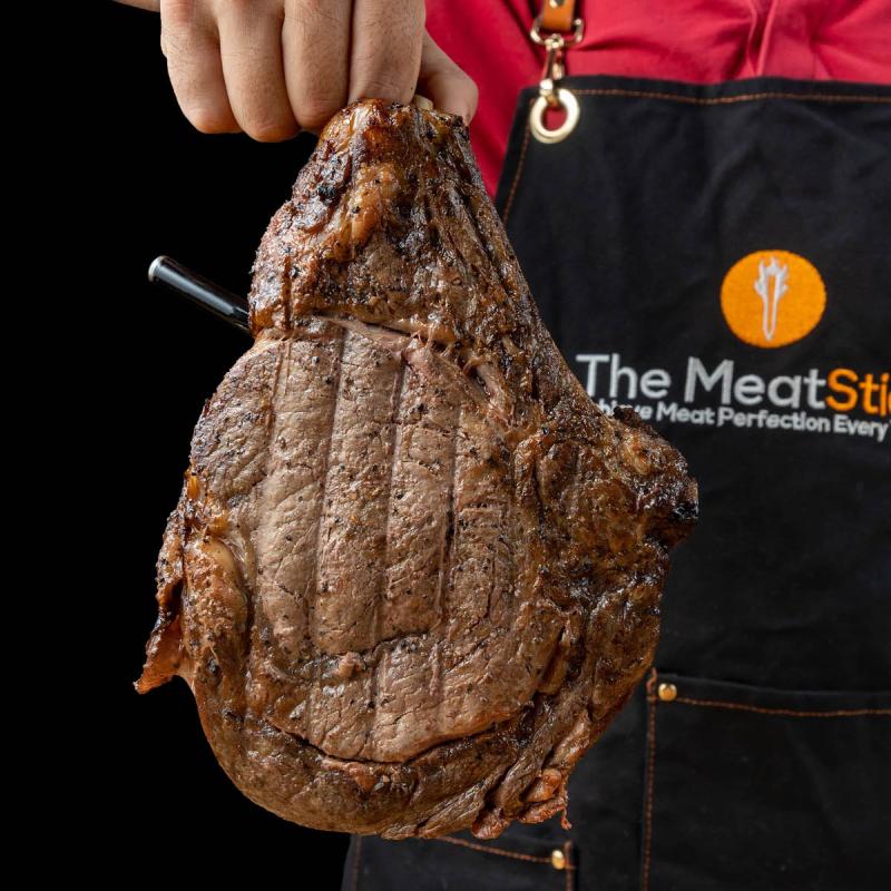 MeatStick 4 X trådløst steketermometer