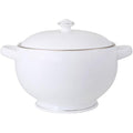 Platinum terrin 3,5L