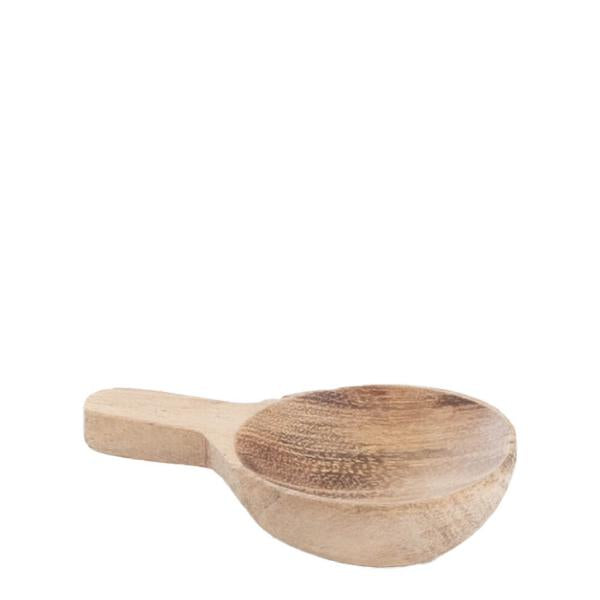 Krydderskje akasietre 8 cm
