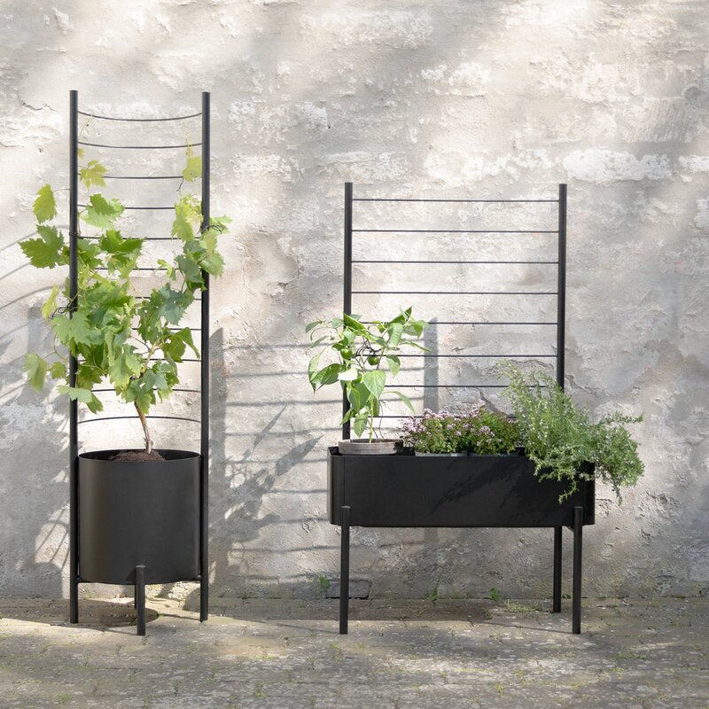 Simply Grow espalier til plantekasse svart