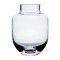 Family vase 11 cm klar