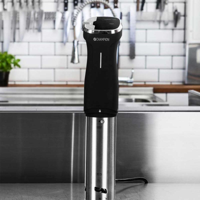 Sous vide precision circulator