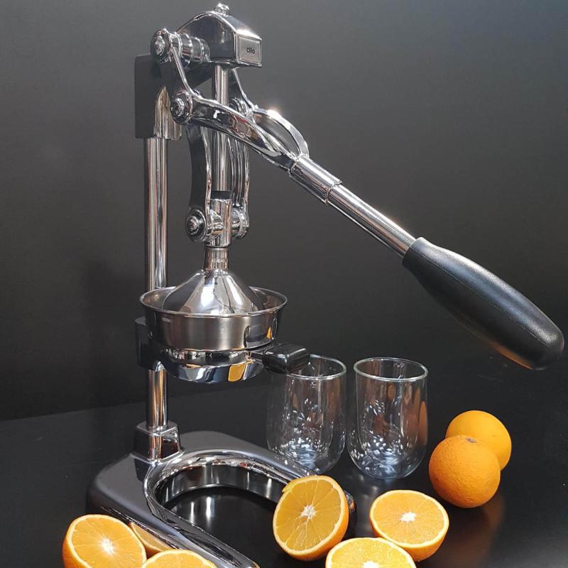 Amalfi juicer stål