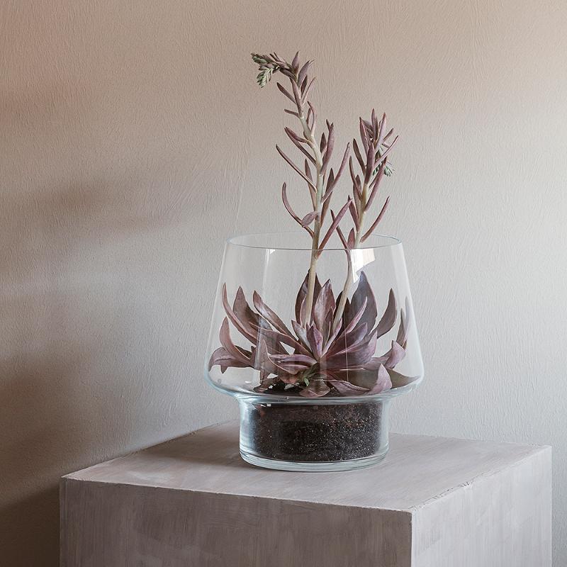 Sukkulent glassvase Ø21 cm