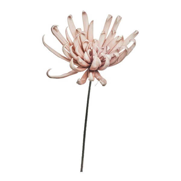 Happia stor dekorasjonsblomst 25x52 cm rosa