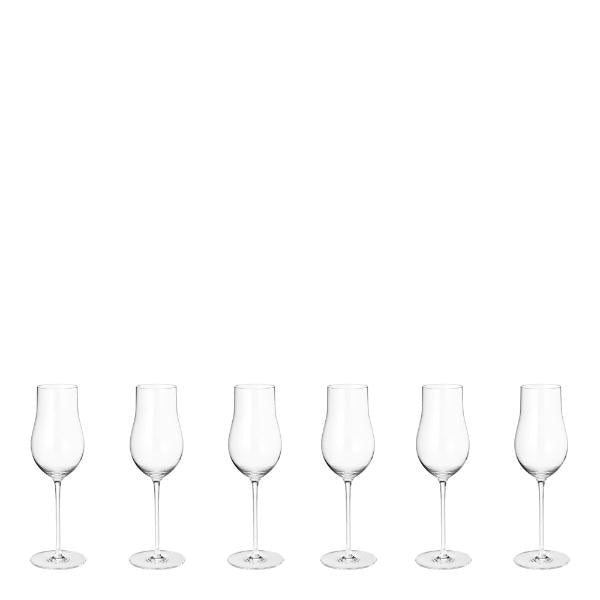 Sky champagneglass flute 25 cl 6 stk