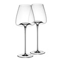 Vision vinglass intense 2 stk