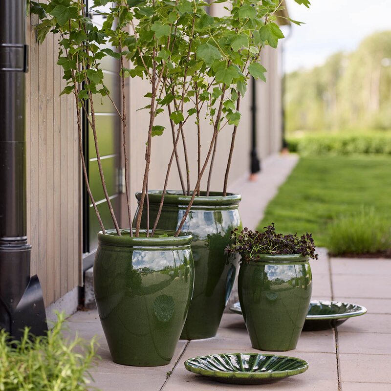 Blänk fat 51 cm irish green