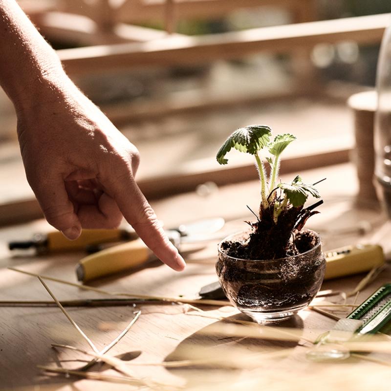 Grow urtepotte liten
