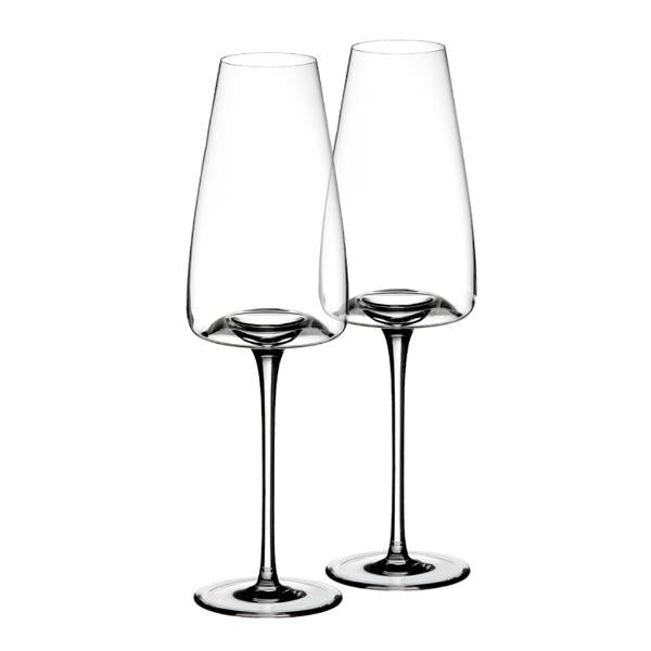 Vision vinglass rich 2 stk