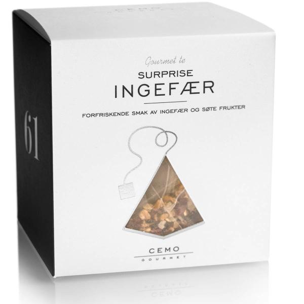 Surprise Ingefær te pyramideposer 28g