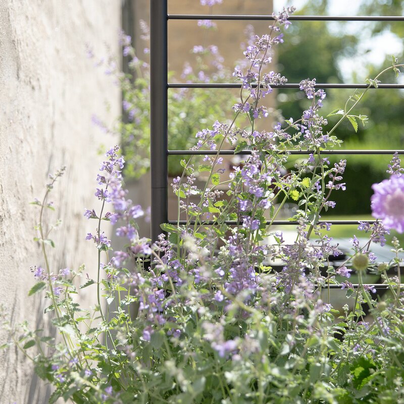 Simply Grow espalier til plantekasse svart