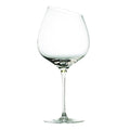 Bourgogne vinglass 50 cl
