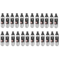 Pure gasspatroner 24 stk 6,5g/21 ml sølv