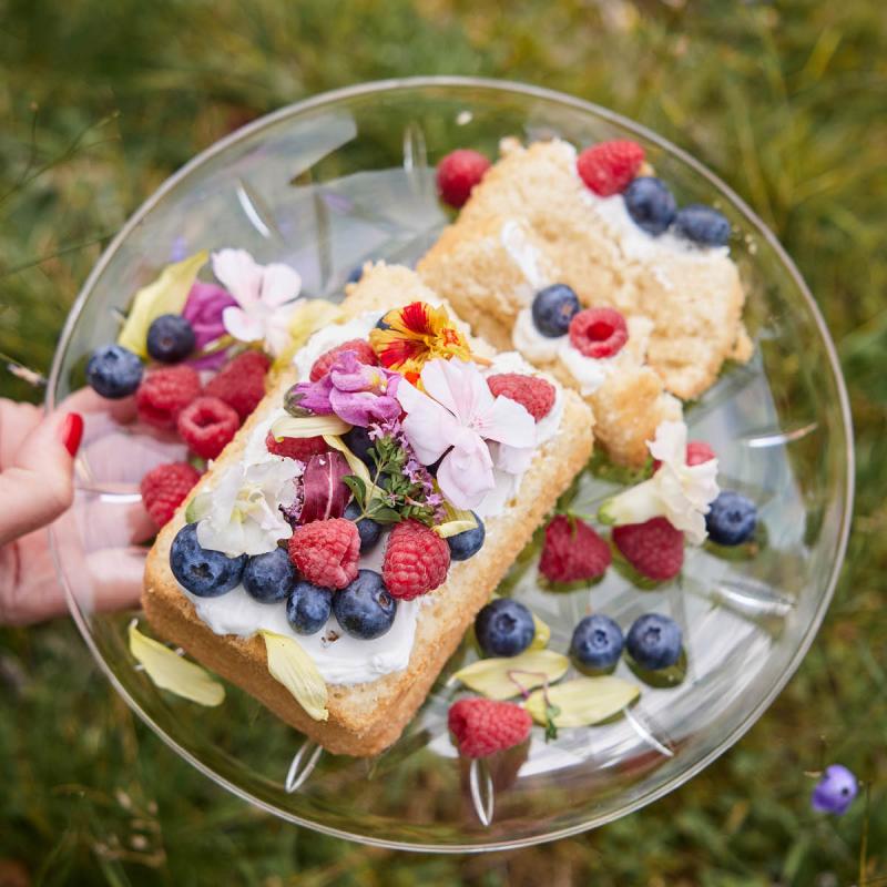 Juni piknik tallerken 26 cm 2 stk