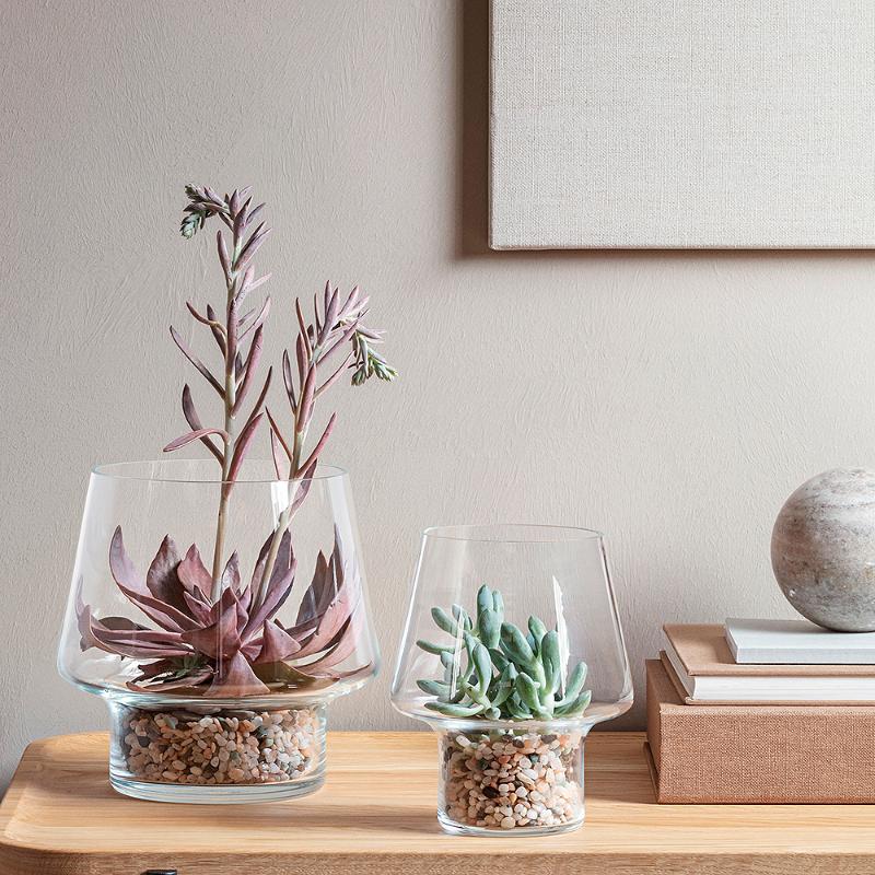 Sukkulent glassvase Ø15 cm