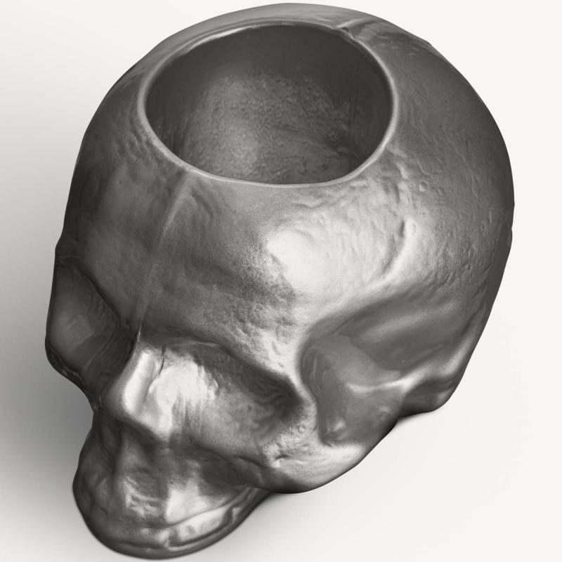 Still Life Skull lyslykt sølv