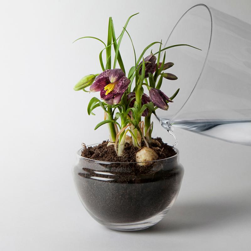 Grow urtepotte liten