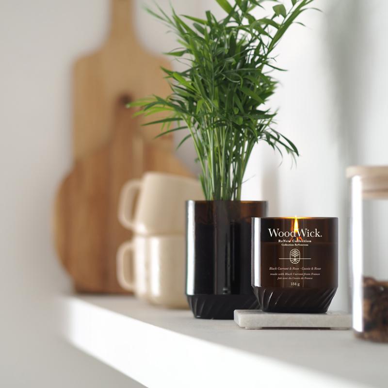 Renew duftlys medium black currant & rose