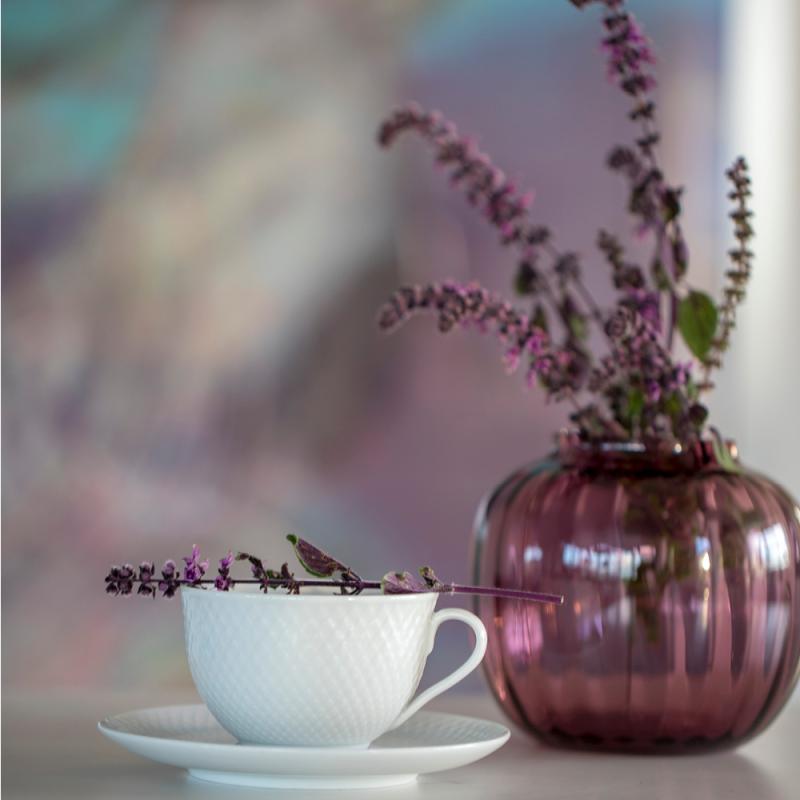 Primula vase 12,5 plomme
