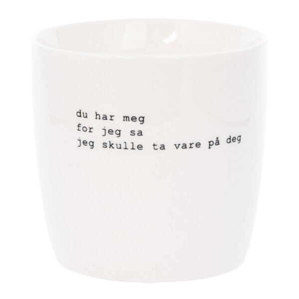 Trygve Skaug krus du har meg 30 cl hvit