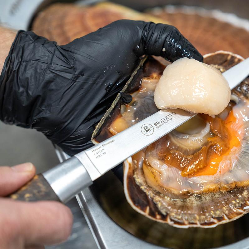 Hunter premium chef filetkniv 29,5 cm blank/natur