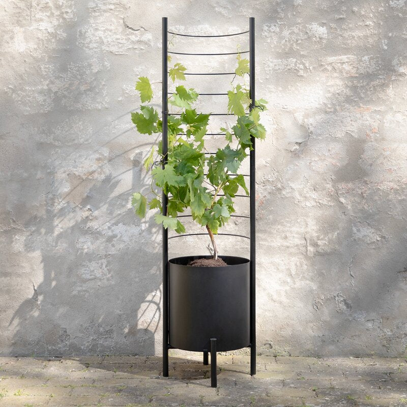 Simply Grow espalier til ytterpotte svart